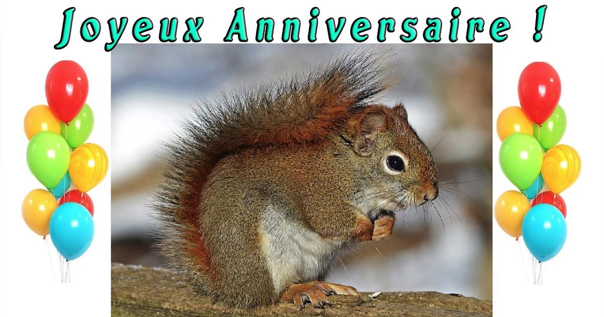 Anniversaire ecureuils
