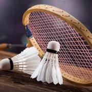 Licence badminton